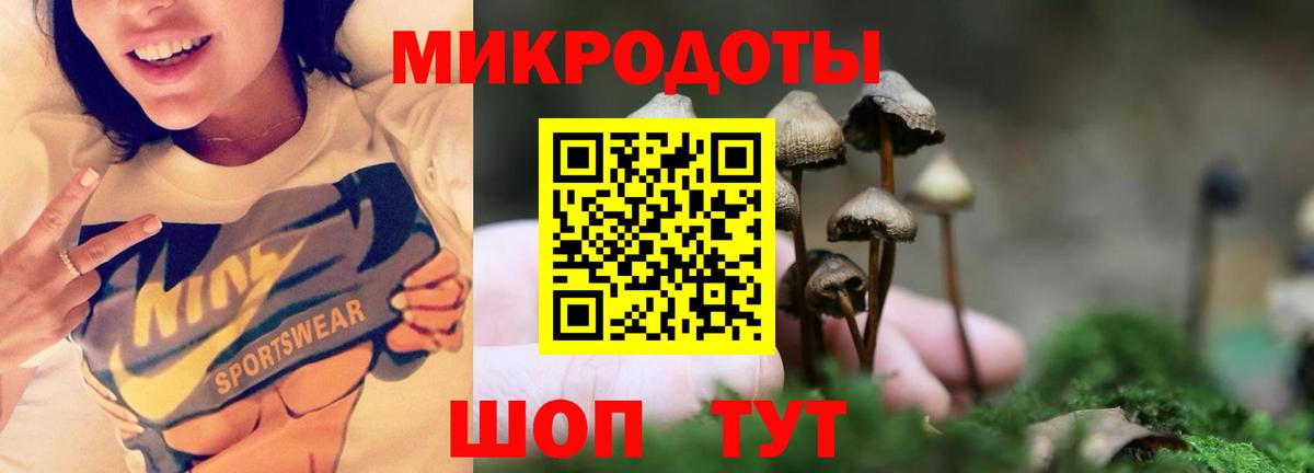 Галлюциногенные грибы GOLDEN TEACHER  Вход с VPN  Дербент 